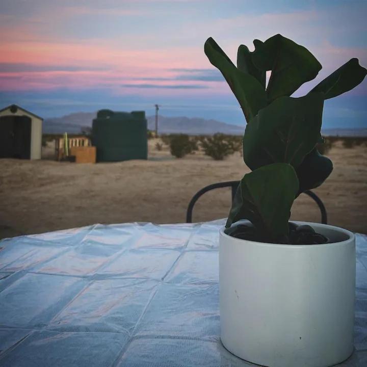 Serene Modern Home Backdoor With Great Wifi, Games, Movies, Patio Seating And Bbq Easy Access To North Joshua Tree National Park In 10 Minutes Twentynine Palms Exteriör bild
